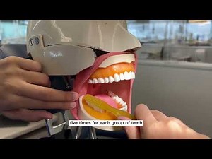 Modified Stillman Toothbrushing Method