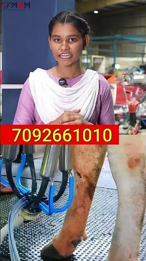 This Milking Machine Will Change Your Dairy Farm! 📈🐄