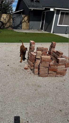 Todd Bridges on Instagram