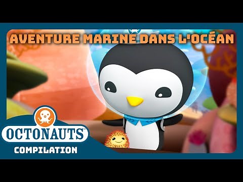 Octonauts - 🐚 Aventure marine dans l'océan 🪸 | Compilation | Dessins animés pour enfants