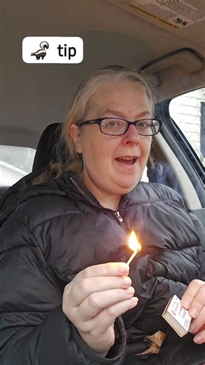 Have you ever smelled a dead skunk while driving? That putrid smell can linger for miles, especially if you have a sensitive nose like me..lol My parents taught us to strike a match and that the sulfur will take the smell away or at least tone it down a lot. Hope this helps yall the next time you run across a stinking skunk 🤣 #skunk #skunktips #deliverydriverstories | Amy Laws Guthrie