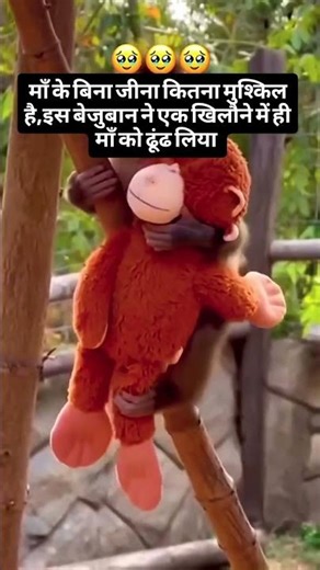 maa dekh liya sansar duniya matlab ki #status #viral #motivation #maa