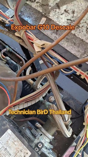 Service Coffee Machine G10 Expobar Descale, Repair in Thailand By Technician Bird ล้างตะกรัน เครื่องกาแฟ #CoffeeTechnicias #CoffeeMachineRepair #CoffeeMachineTraining #CoffeeMachineRepairTraining #เรียนซ่อมเครื่องชงกาแฟ . 🤟☕ #ช่างซ่อมเครื่องกาแฟ #CoffeeMachineRepair ทั่วไทย บริการซ่อมนอกพื้นที่, ซ่อมด่วน , ซ่อมที่ร้าน 📌 #ช่างซ่อมเครื่องกาแฟ 📌 #ช่างเบิร์ดซ่อมเครื่องกาแฟ 📌 #ช่างซ่อมเครื่องกาแฟ 📌 #รับซ่อมเครื่องทำกาแฟ 📌 #รับซื้อเครื่องกาแฟมือสอง 📌 #รับซื้อเครื่องกาแฟเก่าๆ 📌 #โอเวอร์ฮอลเครื่