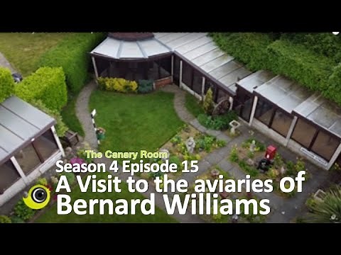 The Canary Room Season 4 - Episode 15 - A visit to the aviaries and birdroom of Bernard Williams