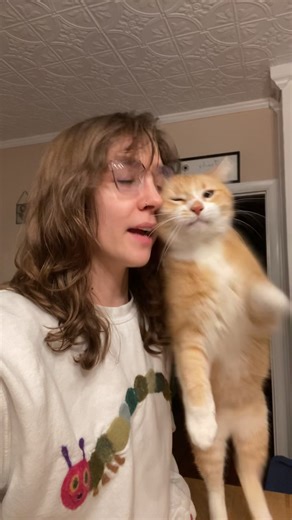 Mind Reading Cats: The Mysterious Connection