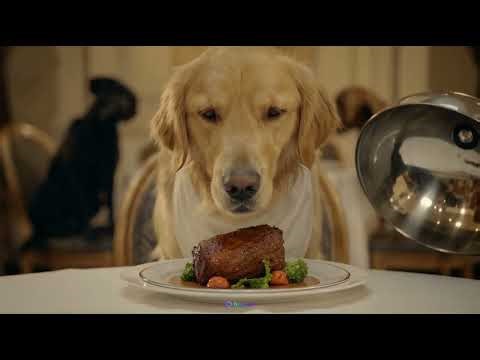 Concept AI Ad Commercial