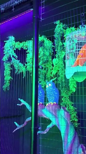 Why Is There a Whale in Noah's Ark Ride?