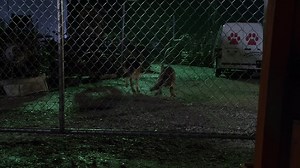 Marley & Me: The Puppy Years... 2011 Welcome to the movies and television