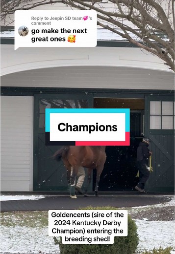 Exploring the Legends of Horse Breeding at Spendthrift