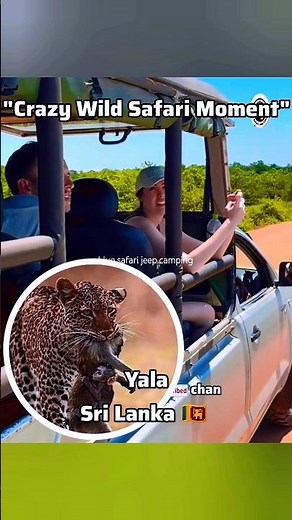 Real Jungle Drama 🐆 😃 Monkey vs Leopard | Yala National Park Safari Adventure