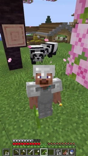 I Tried to Get Minecraft's Rarest Panda… 🐼🤎 | Until 10K