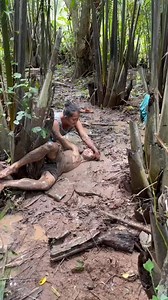 #crabs #followersreelsfypシ゚viralシfypシ゚viralシalシ | Ruby Ruby