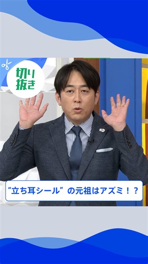 THE TIME, on Instagram: "🐣🐣🐣 “立ち耳シール”の元祖はアズミ！？ #thetime_tbs #thetime切り抜き #アズミ #安住紳一郎 #望月理恵 ＠mochiee28 #メグゥ #宇賀神メグ @ugajin_megu"