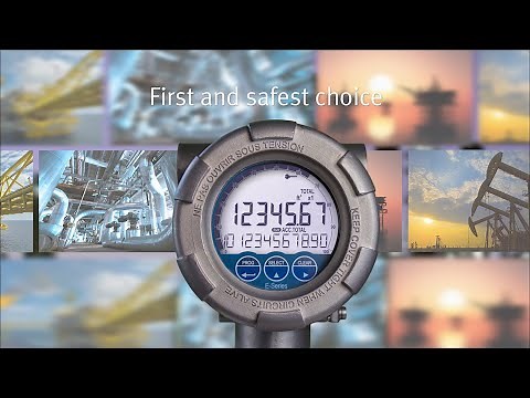 Unequalled, safe, robust and user-friendly: E-Series - Explosion Proof Totalizers