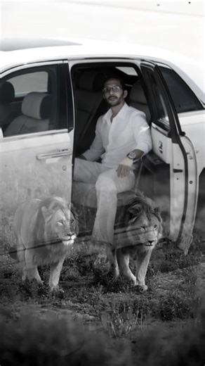 فيديوهات أنشأها Mahmoud Hasan (@mahmoud.hasan600) باستخدام الصوت الأصلي - Mahmoud Hasan