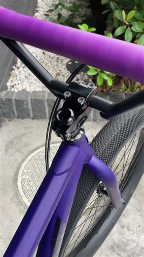 THRONE CYCLE / THE GOON XL / GRAPESODA / 27.5" BMX