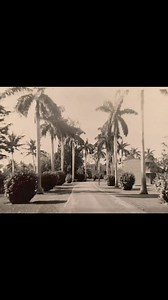 1953 Miami Springs Villas(Curtiss Mansion) | Miami Springs Historical Society and Museum