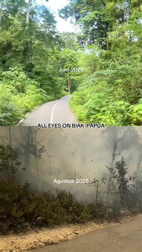 Biak-Papua forest fires update — morning of 24 Aug 2026