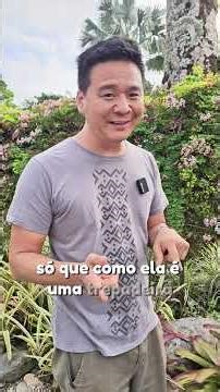 Patinha de vaca trepadeira ou Bauhinia scandens #jardim #jardinagem #plantastrepadeiras #paisagismo