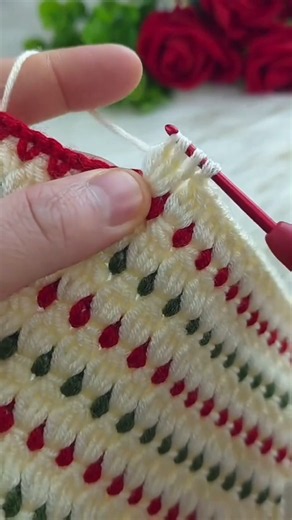 How to Crochet Decorative Blanket Border Stitch Step by Step