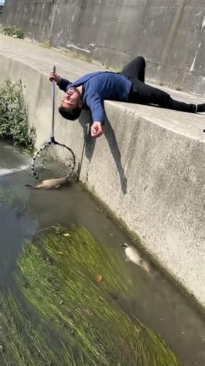 Catching fish 🐠 🐟 #fishnet #fishing #river
