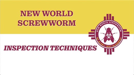 New World Screwworm Inspection Techniques | New Mexico Department of Agriculture