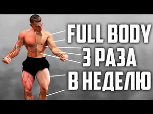 FULL BODY ПЛАН 3 РАЗА В НЕДЕЛЮ!