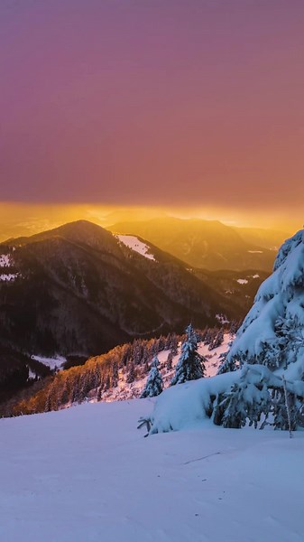 Under the gentle embrace of pristine snow, Jura Hotels Ilgaz Mountain Resort unfolds a haven of undisturbed peace, where the ethereal beauty of nature paints a serene masterpiece, inviting you to immerse yourself in the enchanting symphony of winter's tranquility. ❄️🏔️ Pırıl pırıl karın kucakladığı Jura Hotels Ilgaz Dağ Oteli, bembeyaz örtüsü altında dinginliğin, doğanın eşsiz güzelliğinin resmedildiği bir cenneti sunuyor; kışın huzur dolu şölenine kendinizi bırakın. ❄️🏔️ . . . #jurahotels #ka