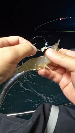 Kanama Luminous Live Shrimp Hooks for Easy Fishing