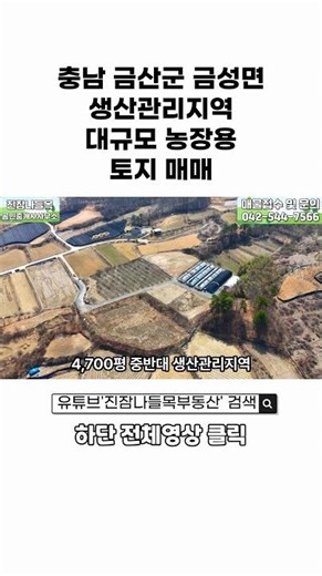 충남 금산군 금성면 토지 매매 | 생산관리지역 4,700평 중반대 농장용 토지 매매(매매가: 7억 5천만원)