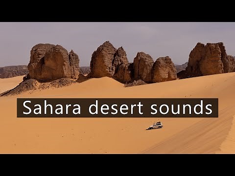 True sound of the Sahara desert - Soft wind in the sand dunes