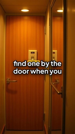 Cruise Passenger Left Behind on Island!! 😳🚢 A cruise passenger was left behind on an island — and what happened next has every cruiser double-checking their shore plans. An 81-year-old woman on a Coral Expeditions cruise in Australia joined a hiking excursion on Lizard Island — and never made it back to the ship. The group hiked the trail known as Cook’s Look, but halfway through, she stopped to rest while others continued. When they returned, she was gone — and the ship sailed without realizi