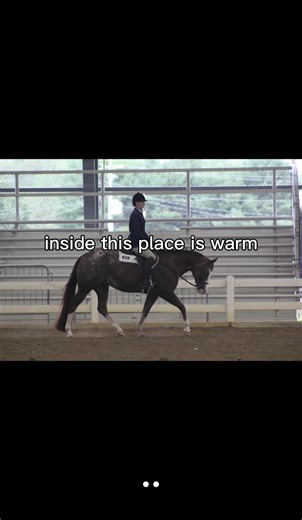 #fypシ #appaloosahorse #equestrian | horses