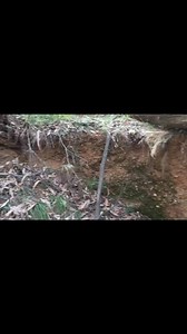 758K views · 3.4K reactions | How much gold is here? Were going to.find out with the dry washer this year! #dryeasher #goldmining #gold #mining | Vo-Gus Prospecting | Facebook