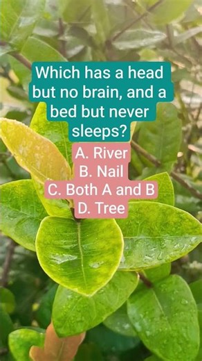 Which has a head but no brain, and a bed but never sleeps?