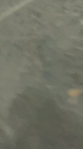 SHEBESHXT & KAYCHERLOW sharing the stage, a moment of pure Lekompo magic. Their strong bond and undeniable chemistry result in an unforgettable performance. 😭🔥🔥🔥#Shebeshxt #Lekompo #fypviralシ | Lekompo Nation