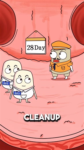 Why Your Period Suddenly Gets Extremely Heavy🩸😳..!!#e2dhealth #animation #2dshow #fypシ #health