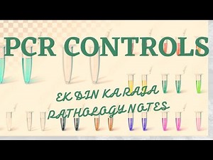 #pcr#molecularbiology #moleculardiagnostics #pcr controls #negative control#positivecontrol#NTC#PC