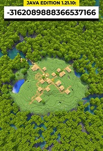 Minecraft seed | Village surrounded by mangrove swamp