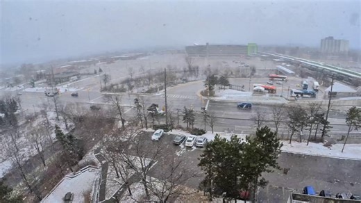 Thinking of eating snow? Here's what you're really eating (hint, it's gross). Watch more video: https://ow.ly/Cm0E50XW8ts | The Weather Network