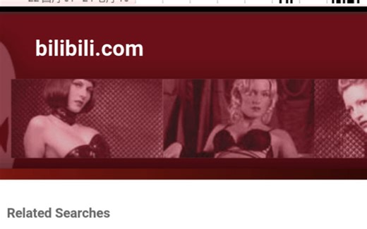 真·b站的起源 wayback machine介绍