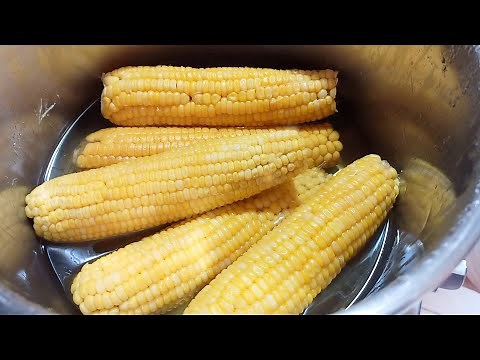 How to boil corn on the cob perfectly & Easily | Sweet Corn Recipe