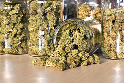 Arrests over marijuana use hit record high in Japan
