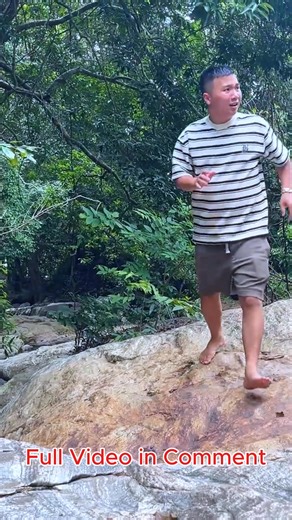 162K views · 3.3K reactions | To poop, the cubis monkey hides from Dad, which causes Dad to become anxious and search for him!....#Babymonkey #Monkey #Monkeylyly #Famliylyly | Monkey TV | Facebook