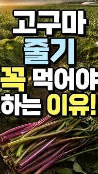 고구마 줄기 꼭 먹어야 하는 이유! #고구마줄기 #고구마줄기효능 #고구마순효능 #고구마줄기껍질벗기기