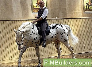 Wie Man Einen Bent Storm Türrahmen 🔧🔧 Tipps Für Heimwerker. Machen Sie Ihre Eigenen Hände - 2025