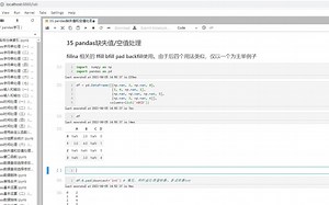 35 pandas缺失值和空值处理（四）