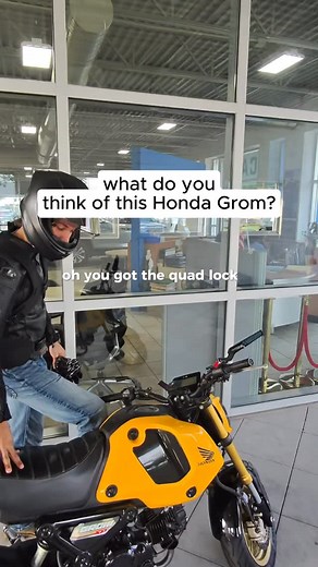 CACV Motors Group on Instagram: "What’s your opinion on the Honda Grom?"