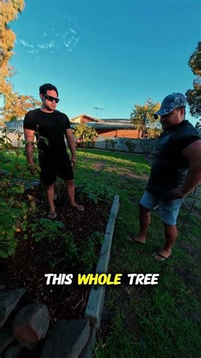 Eat This Chilli Then 🌶️🔥 - Carolina Reaper vs Islander Boys! #Shorts | TriCliques