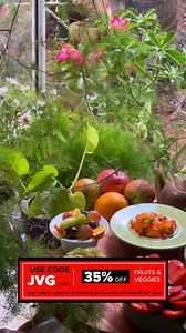 Check out Jithmie using Cargills Online to make her delicious Fruit Tarts!🍓🍇🍎🥭🍉 Use code JVG for 35% OFF on the freshest fruits and veggies throughout April! (With a max discount of Rs.1,050, for a minimum purchase value of Rs.3,000.) Don't forget to enjoy FREE DELIVERY with no minimum order value. Find the free delivery coupon at apply coupon section! (Delivery within Colombo and certain areas in Gampaha.) #SL #viral #fruits #fruittarts #easyrecipes #Freshfruits #groceriesonline #CargillsO